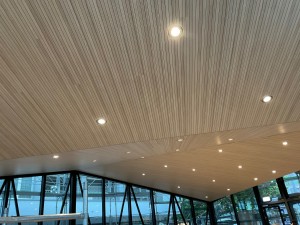 Galleries/5-(4).jpg